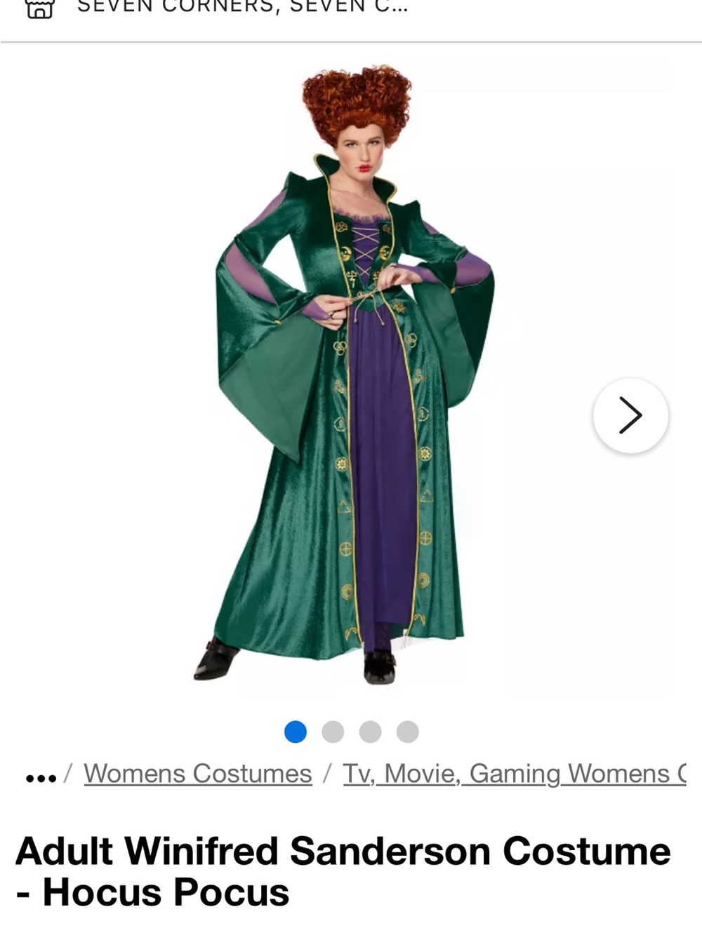 Disney Winifred Sanderson Adult Witch Costume - Green, Purple and Gold